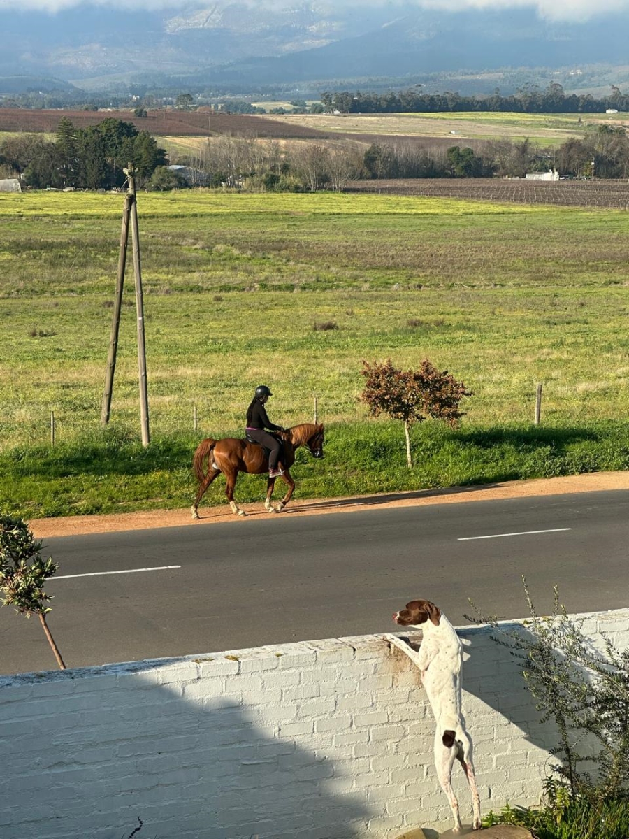 To Let 4 Bedroom Property for Rent in Nuwe Uitsig Western Cape